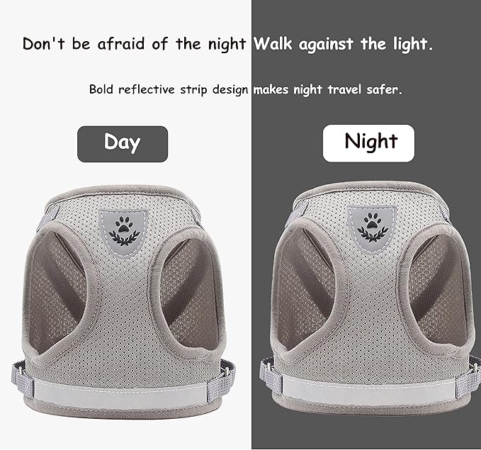 Step in Dog Harness and Leash Set,Reflective Adjustable Soft Mesh Breathable Pet Vest Dog Harnesses Set, No Chock No Pull Padded Puppy Harnesses for Small Dogs and Cats (Gray, X-Small)