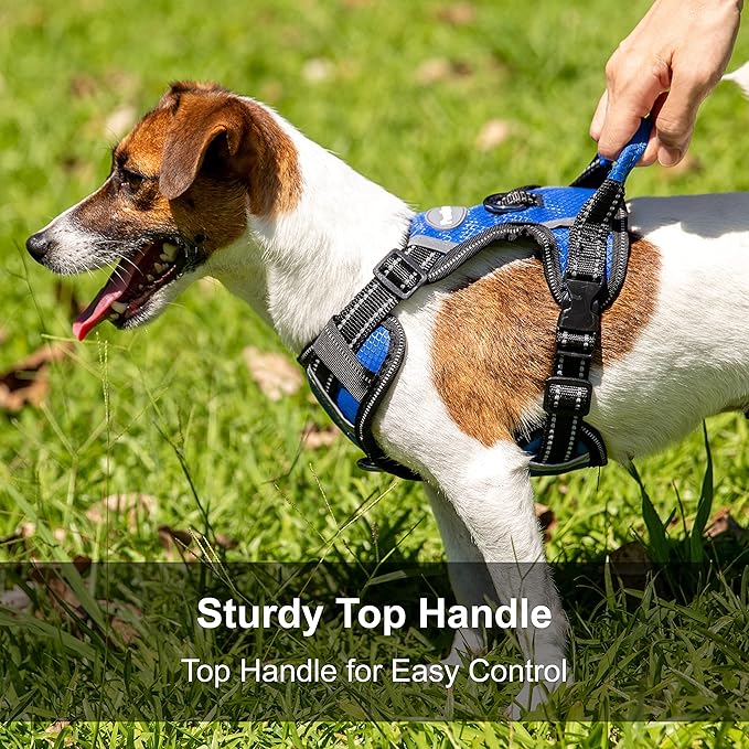 No Pull Dog Harness, Reflective Walking Dog Harness with Easy Control Handle and Front & Back Clips,Adjustable Breathable Soft Padded Dog Vest Harness for Beagle Dog,Blue,M
