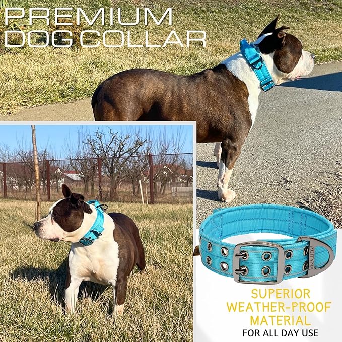 ADITYNA Heavy Duty Dog Collar for Medium Dogs - Reflective Blue Collar with Handle for Training, and Walking - Wide, Thick, Tactical, Soft Neoprene Padded