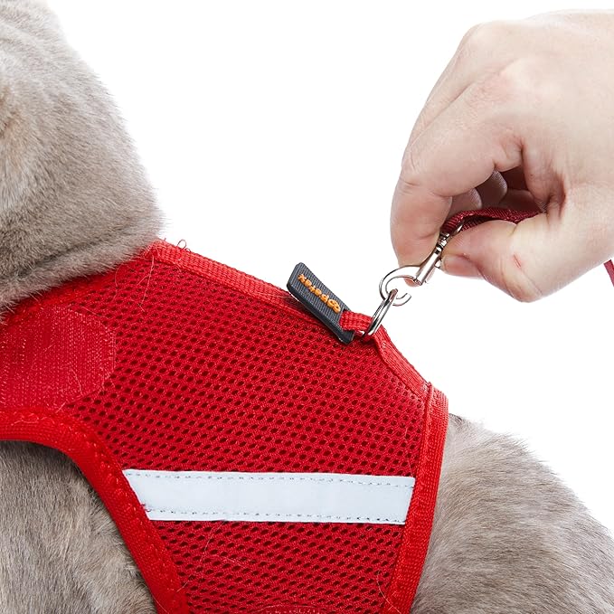 Kitten Harness and Leash Set with Reflective Strip, Cat Harness and Leash Set Escape Proof, Adjustable, Travel, Cat Vest