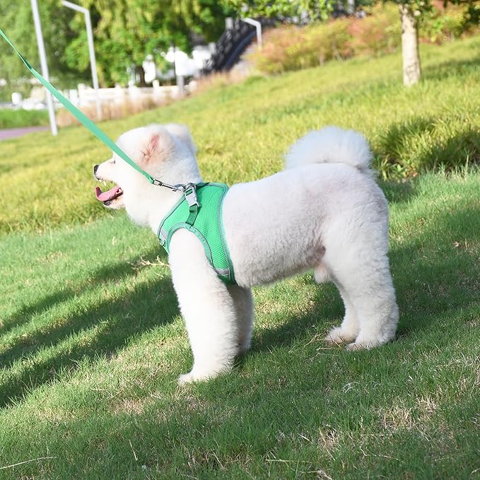 AIITLE Small Dog Harness, No-Pull Cat Harness with a Leash, Step in Adjustable Puppy Harness with Quick-Release Buckle, Reflective Outdoor Pet Vest for Extra Small Dogs and House Cats Green XXS