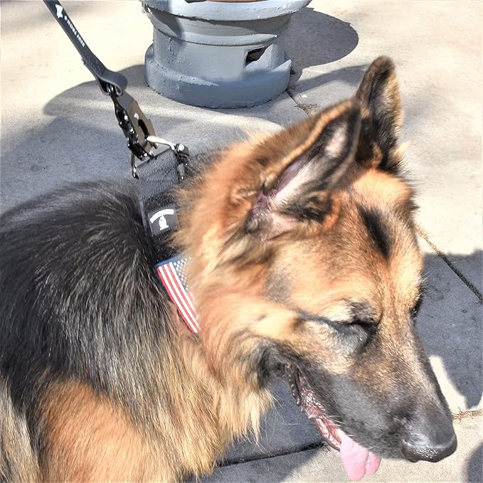 Tactical Dog Collar 2 Inch Wide Thick Heavy Duty Military Style with Metal Buckle, Adjustable for Medium - Large Breeds, Durable K9 Training Gear with Patch Area, USA Flag Patch, Strong and Secure Fit