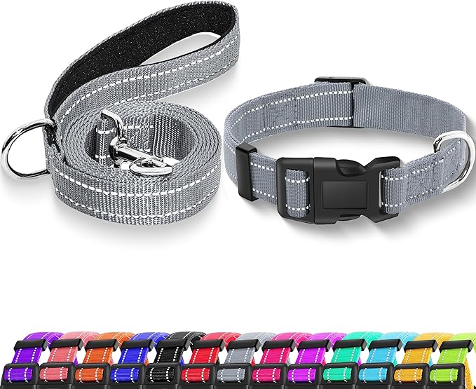 Reflective Dog Collar with Safety Locking Buckle, Adjustable Soft Breathable Nylon Collars for Small, Medium and Large Dogs(Collar+Leash S Width 5/8" Gray)