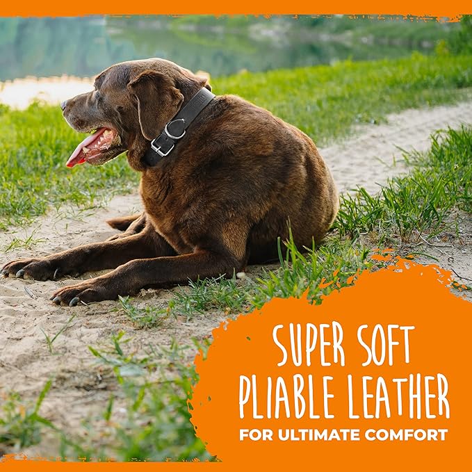 Mighty Paw Leather Dog Collar - Genuine Distressed Leather - Strong Metal Buckle - Ultimate Comfort - Modern Style for All Dogs Breeds - Comfort Puppy Collar - (XLarge - Black)