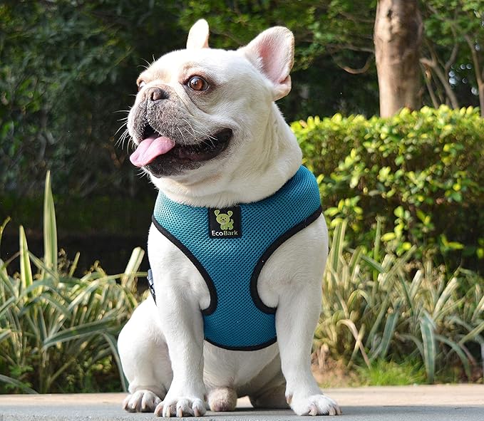 EcoBark Dog Harness - Luxurious Soft Mesh - Eco-Friendly Over The Head Vest Harness - No Pull & No Choke Design - Padded Breathable Body Halter - for Large Breed Dogs (Teal, XXL)