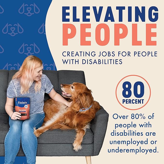 Finley's Salmon Training Bites, Low Calorie, All Natural Soft Chew Dog Treats, 16 Ounce (Pack of 1)