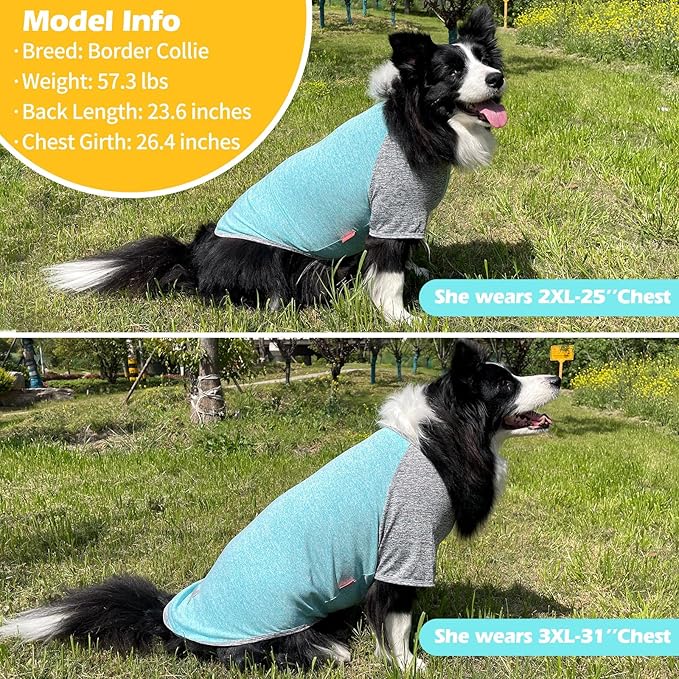 KYEESE 2 Pack Dog Shirts for Large Dogs Quick Dry Breathable Stretchy Dog T-Shirt with Reflective Label Raglan Sleeve Pet Apparel for Large Dogs, Grey+Lake Blue, 3XL