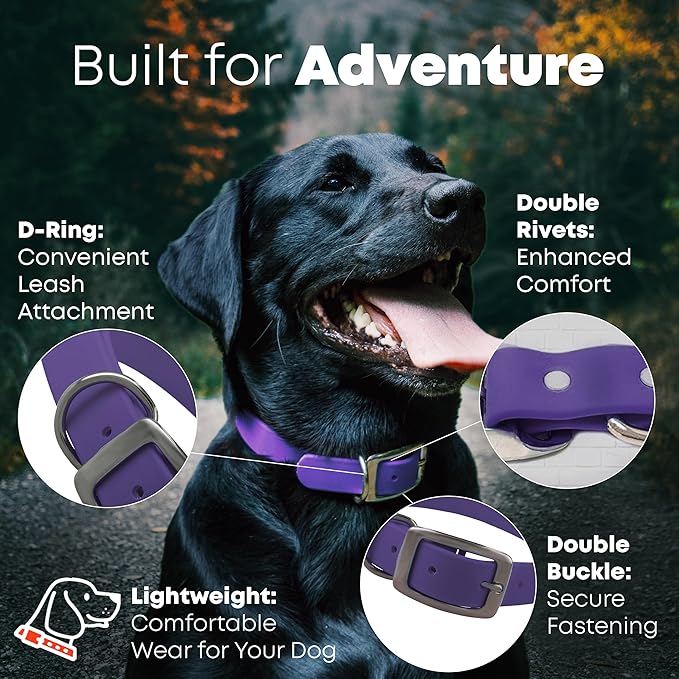 Regal Dog Products Small Purple Waterproof Dog Collar and Leash Set | Heavy Duty Double Buckle & D Ring - 5'ft Leash | Adjustable Biothane Dog Collar | Chew Resistant Waterproof Collar for Dogs