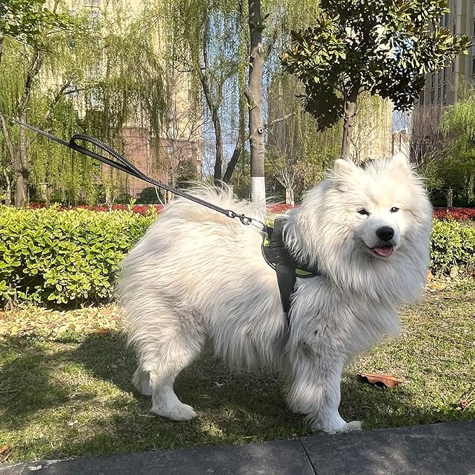 Joytale Dog Leash Heavy Duty for Large Dogs That Pull, Double Handle for Traffic Control, Double-Sided Reflective Leashes for Large Medium Dogs Night Safety, 5FT, Black