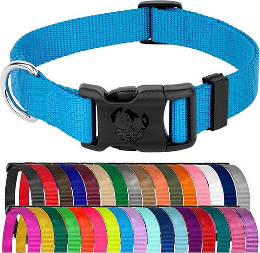 Country Brook Petz - American-Made Dog Collar for Large, Medium, and Small Dogs and Puppies - Deluxe Heavy Duty Nylon in 33 Dazzling Colors (2XS, 3/8 Inch Wide, Ice Blue)