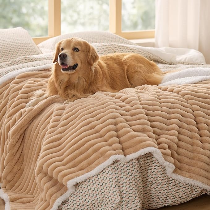 Bedsure Waterproof Dog Blankets for Large Dogs - Soft Pet Cat Blanket Corduroy Fleece for Bed Protector Washable, Cozy Calming Reversible Furniture Protection for Puppy,60"x80", Tuscan Beige
