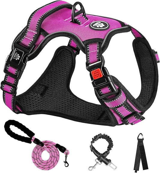 NESTROAD No Pull Dog Harness,Adjustable Oxford Dog Vest Harness with Leash,Reflective No-Choke Pet Harness with Easy Control Soft Handle for Small Medium Dogs(Medium,Fuchsia Pink)