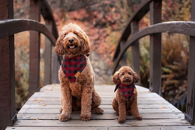 Remy+Roo Small Dog Bandanas - 4 Pack Timeless Set | Premium Durable Adjustable Polyester Fabric | Patented Shape Boy Dog Bandanas | Pack of Bandanas for Dogs