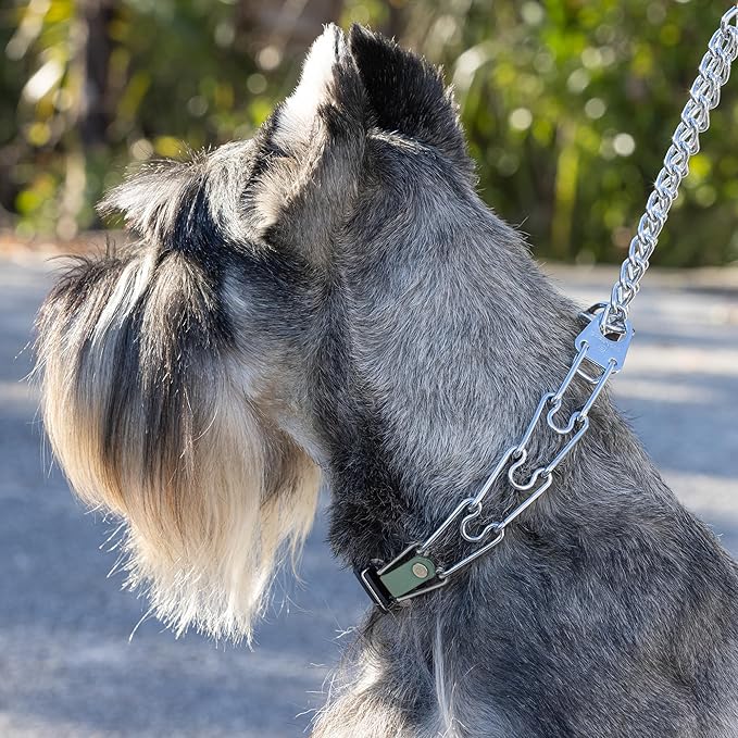 Herm Sprenger Chrome Plated Steel Dog Collar with Quick Release ClicLock Buckle and Biothane Insert Training Collar for Dogs Made in Germany (Sage Green, 22in x 3.0mm(Neck Size up to 18-19in))