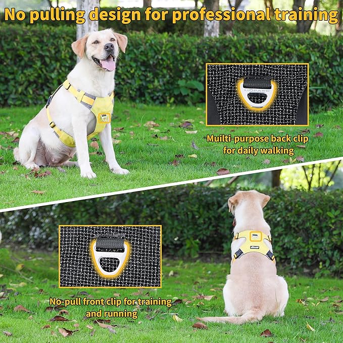 Dog Harness, Easy Walk Pet Harness No Pull with 2 Leash Clips, Reflective Running Soft Padded Adjustable Puppy Vest, Heavy Duty Seatbelt Harness for Car for Small Dogs (Yellow, L)