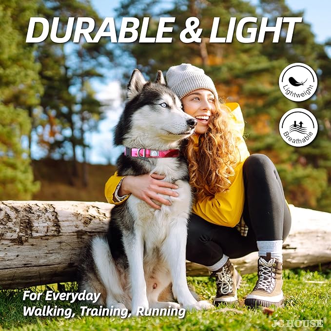 Soft Padded Dog Collar, Neck 16’’-25’’, Adjustable Heavy Duty Collar with 3M Reflective Logo for Medium, Large Dogs, Camo Pink, L