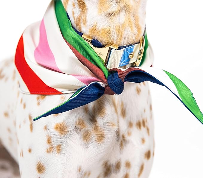 kate spade new york Pet Bandana for Boy or Girl Dogs, Lightweight Bandana for Dog, Cute Dog Scarf for Medium or Large Pets, Adventure Stripe