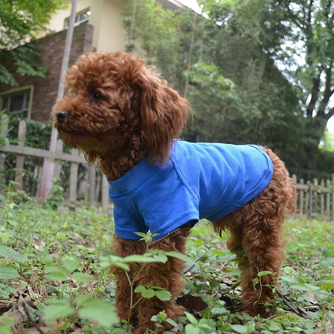 Lovelonglong Pet Clothing Dog Costumes Basic Blank T-Shirt Tee Shirts for Small Dogs Blue L
