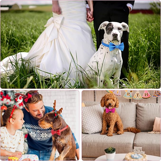 Girl Dog Collar with Bow, Bling Female Bowtie Dog Collar for Puppy Small Medium Dogs Daily Walking or Holiday Party (Hot Pink, Neck fit 11-16’’)