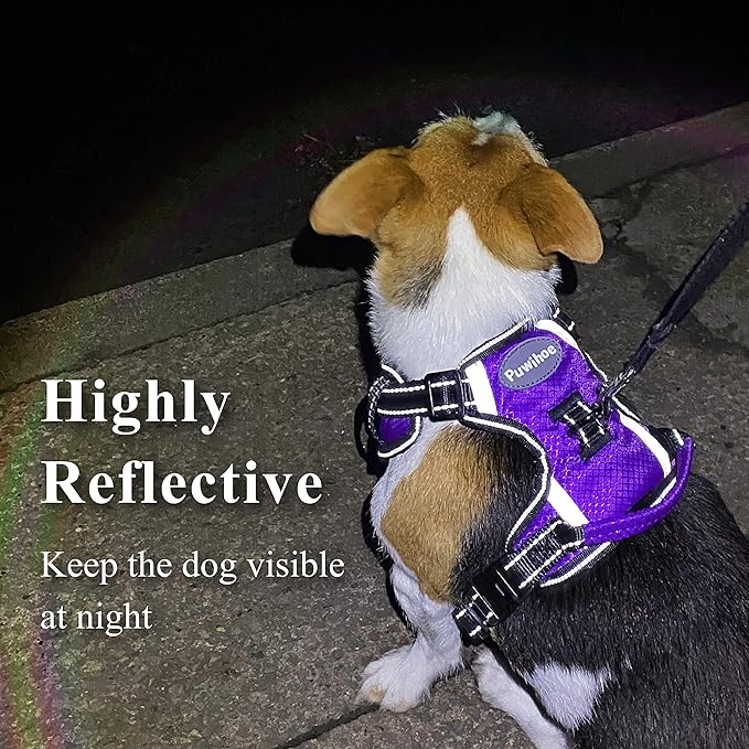 No Pull Dog Harness, Reflective Walking Dog Harness with Easy Control Handle and Front & Back Clips,Adjustable Breathable Soft Padded Dog Vest Harness for Large Medium Small Dogs,Purple,L
