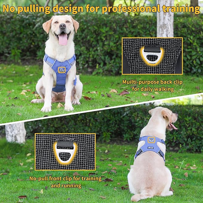 Dog Harness, Easy Walk Pet Harness No Pull with 2 Leash Clips, Reflective Running Soft Padded Adjustable Puppy Vest, Heavy Duty Seatbelt Harness for Car for Medium Large Dogs (Blue, M)