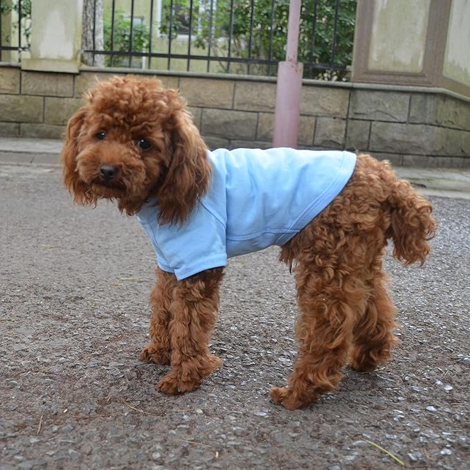 Lovelonglong Pet Clothing Dog Costumes Basic Blank T-Shirt Tee Shirts for Small Dogs Light-Blue M