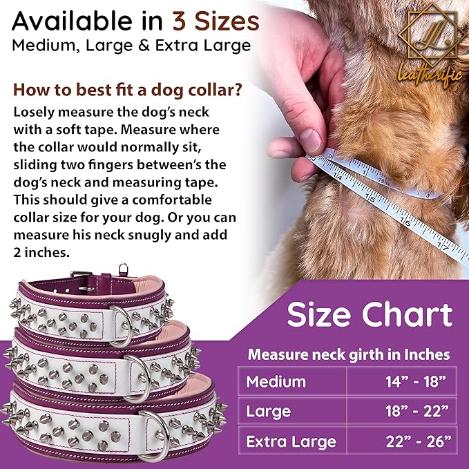 Genuine Leather Dog Collar by Leatherific, Premium Bridle Leather, Heavy Duty, Padded, Strong, Screwed Spikes, Medium, Large, Extra Large Breeds, 2" Wide (Magenta, Neck Size 18"-22")