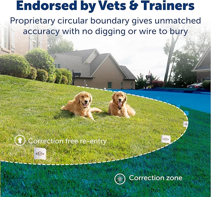PetSafe Stay & Play Compact Wireless 2-Dog Fence, LCD Screen to Adjust The Circular Boundary, Secure up to 3/4 Acre Area, Use for All Your Pets, Portable System