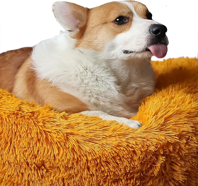 nononfish Pet Beds for Medium Size Dogs Washable Calming Pet Beds with Anti-Anxiety fit 30bls Dogs,30 Inches Orange