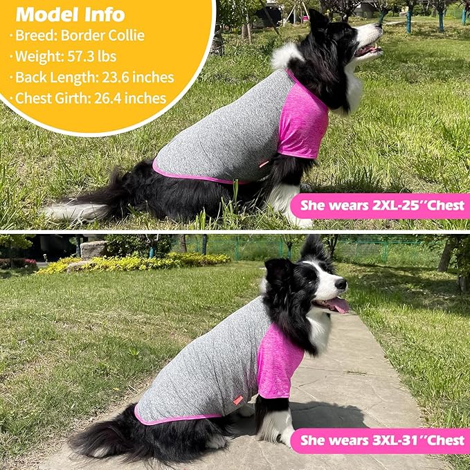 KYEESE Dog Shirts Quick Dry 2 Pack Breathable Lightweight Stretchy Dog T-Shirt with Reflective Label Raglan Sleeve Pet Apparel for Medium Dogs