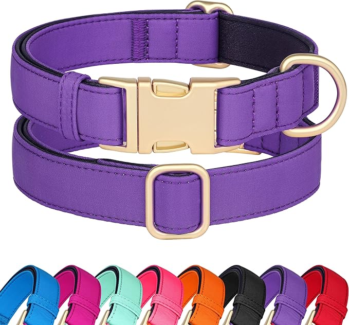 Didog Soft Padded Dog Collar for Large Dogs, Waterproof and Durable Pet Collar with Quick Release Buckle, Light and Breathable for Daily Walking,Purple,L(Neck15-23)