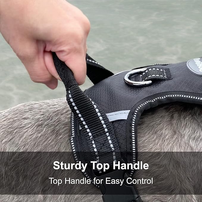 No Pull Dog Harness, Reflective Walking Dog Harness with Easy Control Handle and Front & Back Clips,Adjustable Breathable Soft Padded Dog Vest Harness for Large Medium Small Dogs,Black,M
