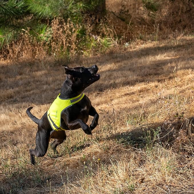 Lite Dog Vest. Coverage to Mid Back. Reflective Hi Visibility Fluorescent Yellow Fabric Helps to Keep Them in Sight and Safe On and Off Leash.