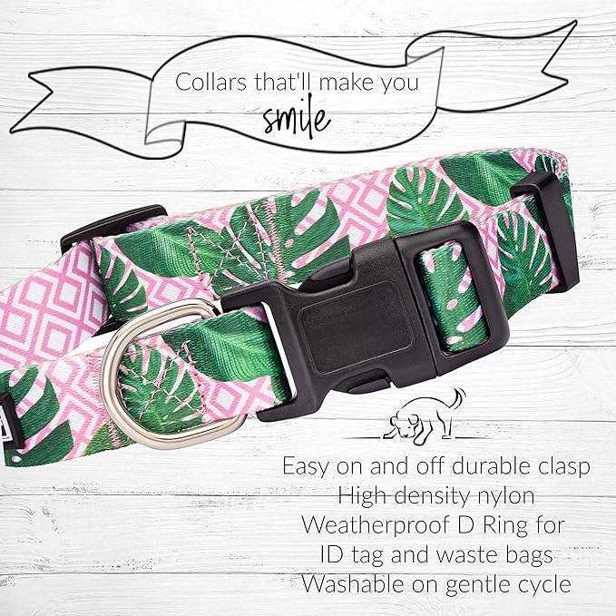 Lucky Love Dog, Tropical Matching Dog Collar & Leash Set, Soft & Comfy, Vivid Pink Color Collar and Leash for Female Male Dogs - (Large, Laguna Combo)