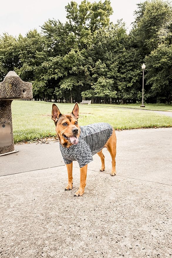 Pet Life ® Active 'Warf Speed' Heathred Dog Fitness and Yoga Pet T-Shirt Dog Clothes - Performance Dog T-Shirt with 4-Way-Stretch, Reflective and Quick-Dry Technology - Summer Dog Shirts