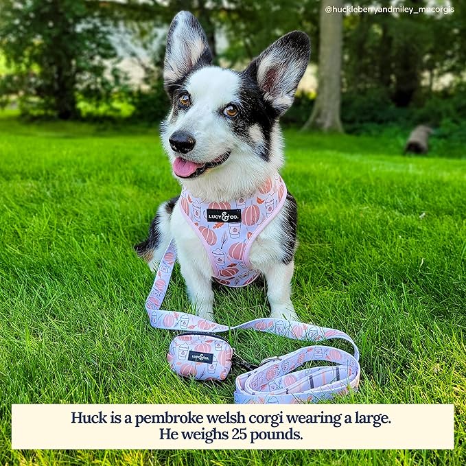 Lucy & Co. 5 Foot Designer Dog Leash - Awesomely Autumn, Perfect for Big, Small, or Medium Dogs - Puppy Leash - Dog Accessories - Small