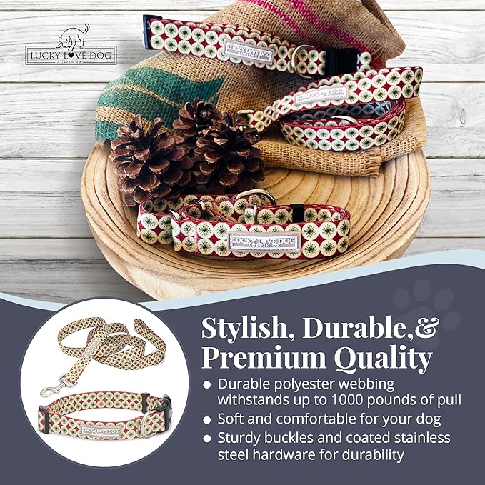 Lucky Love Dog - Easy Click Buckle Dog Collar with Leash Set Combo, Durable & Comfortable Collar for Male & Female Dogs, Pet Collar for Small to Large Dogs, Secure Fit - Pongo Combo, Small