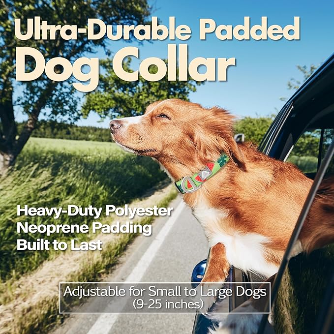 Cute Dog Collar, Summer Watermelon Pattern Adjustable Breathable Collar with Reflective Logo, Comfortable Padded Design Fits for Medium, Large Dogs, Neck Size 12’’-20’’ (Watermelon, M)