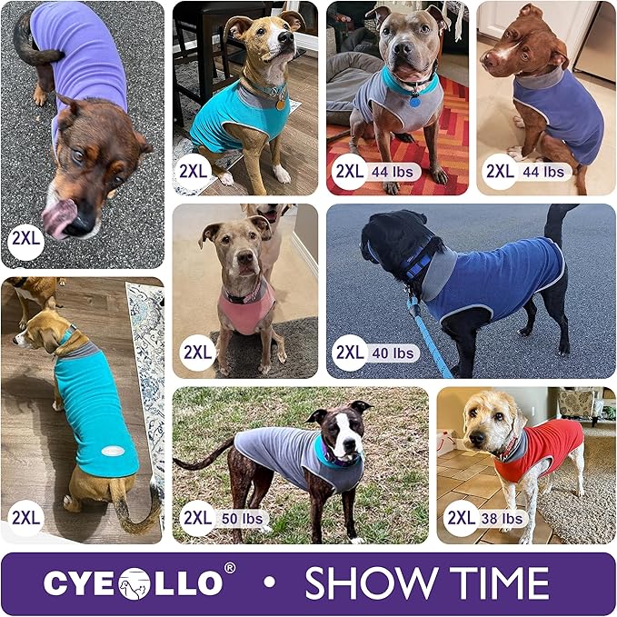 cyeollo 2 Pack Dog Sweater Sweatshirt Stretchy Soft Fleece Vest Pullover with Reflective Stripe Dog Jacket Lightweight Pet Clothes for Medium Dogs Grey & Red