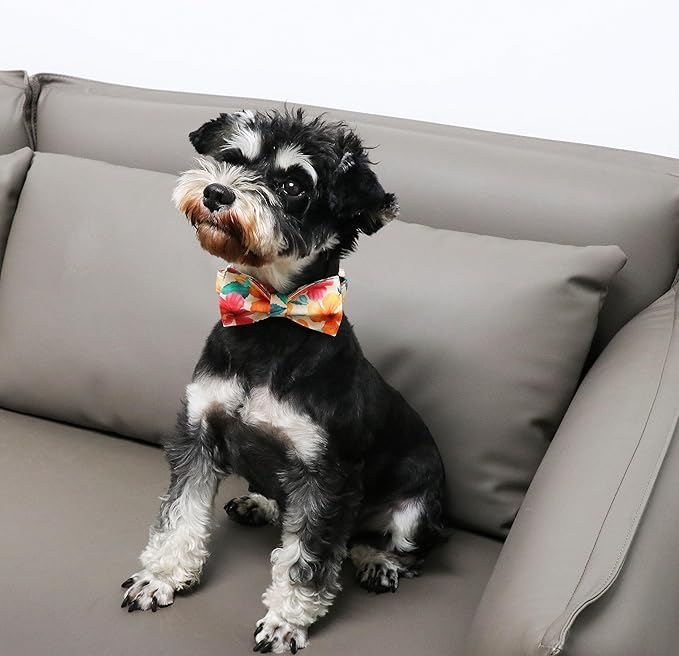 Unique Style Paws Cotton Dog Collar with Bow Floral Plaid Colorful Dog Collar with Bow Tie for Small Medium Large Dogs Pets Gifts