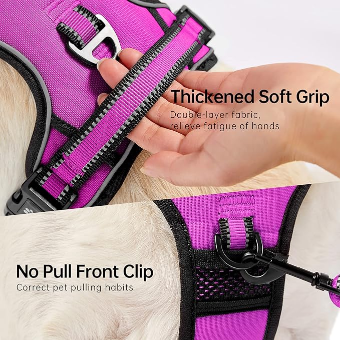 NESTROAD No Pull Dog Harness,Adjustable Oxford Dog Vest Harness with Leash,Reflective No-Choke Pet Harness with Easy Control Soft Handle for Small Medium Dogs(Medium,Fuchsia Pink)