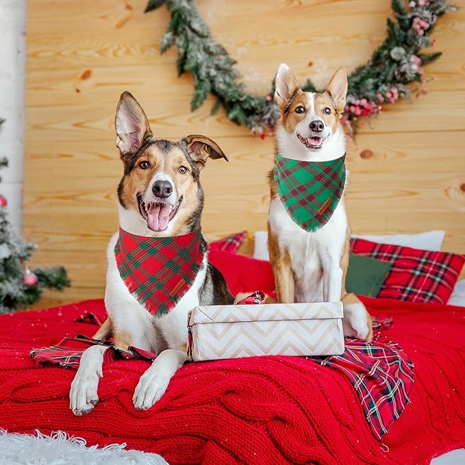 ADOGGYGO Christmas Dog Bandanas with Tassels, Red Green Plaid Pet Xmas Scarf Bib, Multiple Sizes, Christmas Bandana for Medium Large Dogs Pets (Large)