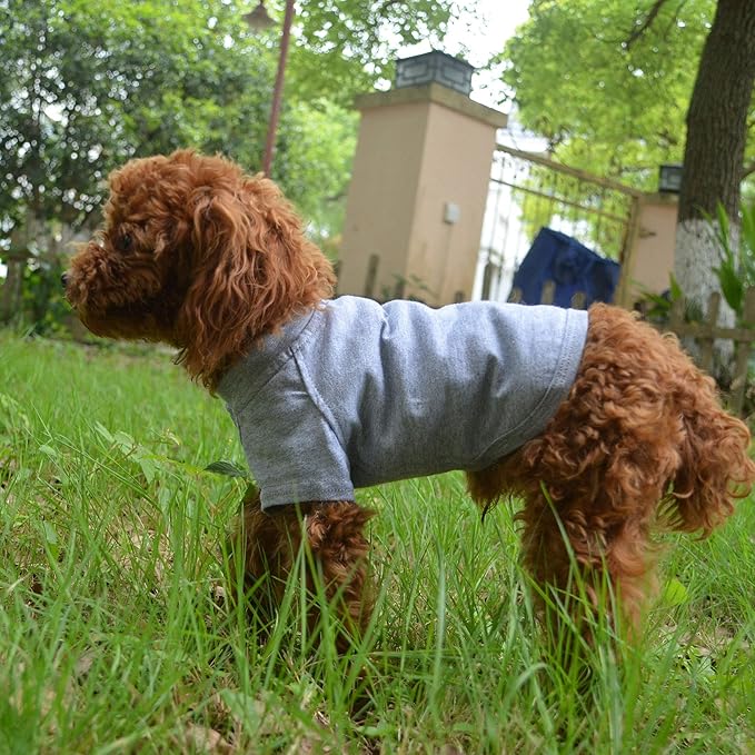 Lovelonglong Pet Clothing Dog Costumes Basic Blank T-Shirt Tee Shirts for Small Dogs Gray L
