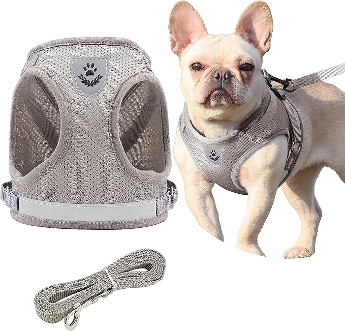 Step in Dog Harness and Leash Set,Reflective Adjustable Soft Mesh Breathable Pet Vest Dog Harnesses Set, No Chock No Pull Padded Puppy Harnesses for Small Dogs and Cats (Gray, Medium)