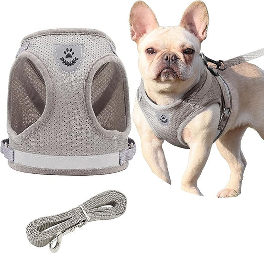 Step in Dog Harness and Leash Set,Reflective Adjustable Soft Mesh Breathable Pet Vest Dog Harnesses Set, No Chock No Pull Padded Puppy Harnesses for Small Dogs and Cats (Gray, X-Small)