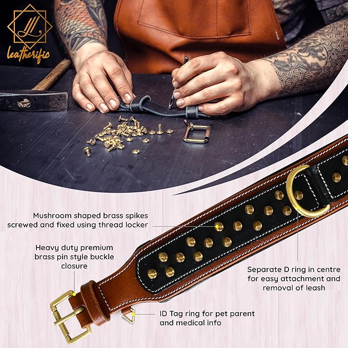 Genuine Leather Dog Collar by Leatherific, Premium Bridle Leather, Heavy Duty, Padded, Strong, Screwed Spikes, Medium, Large, Extra Large Breeds, 2" Wide (Charcoal, Neck Size 14"-18")