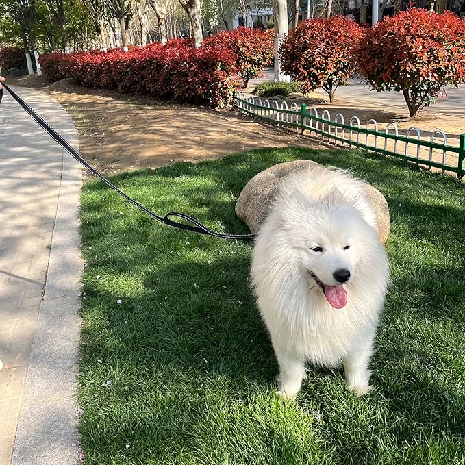 Joytale Dog Leash Heavy Duty for Large Dogs That Pull, Double Handle for Traffic Control, Double-Sided Reflective Leashes for Large Medium Dogs Night Safety, 6FT, Black