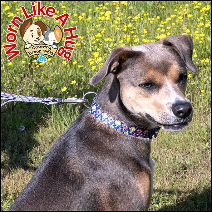 Country Brook Petz - Deluxe Utah Dog Collar - Made in The U.S.A. - Country and Western Collection Featuring Rustic Designs (1/2 Inch, Extra Small)