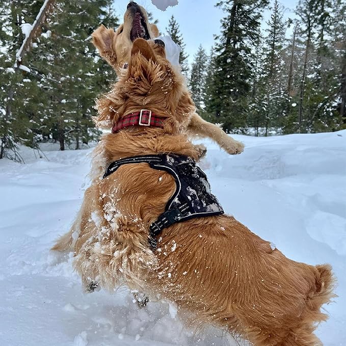 No Pull Dog Harness for Medium Dogs, Dual Leash Attachments, Adjustable Soft but Strong Pet Harness with 3M Reflective Technology, Black Nylon, M (Chest: 20-25")