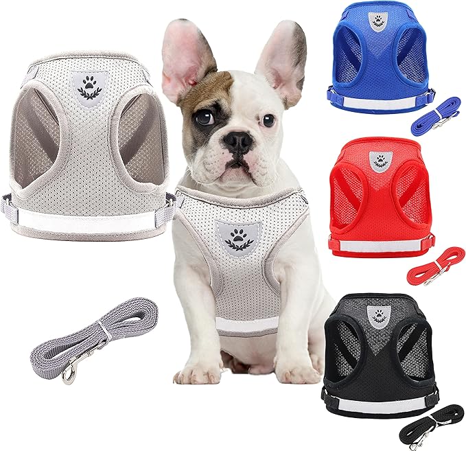 Step in Dog Harness and Leash Set,Reflective Adjustable Soft Mesh Breathable Pet Vest Dog Harnesses Set, No Chock No Pull Padded Puppy Harnesses for Small Dogs and Cats (Gray, Small)